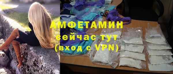 сатива Баксан