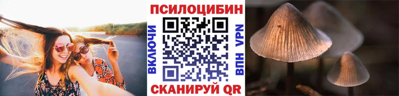 Галлюциногенные грибы мицелий  Скопин 