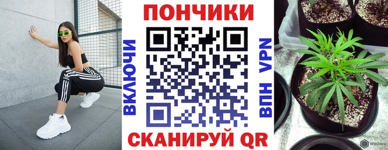 закладка  Скопин  Конопля AK-47 